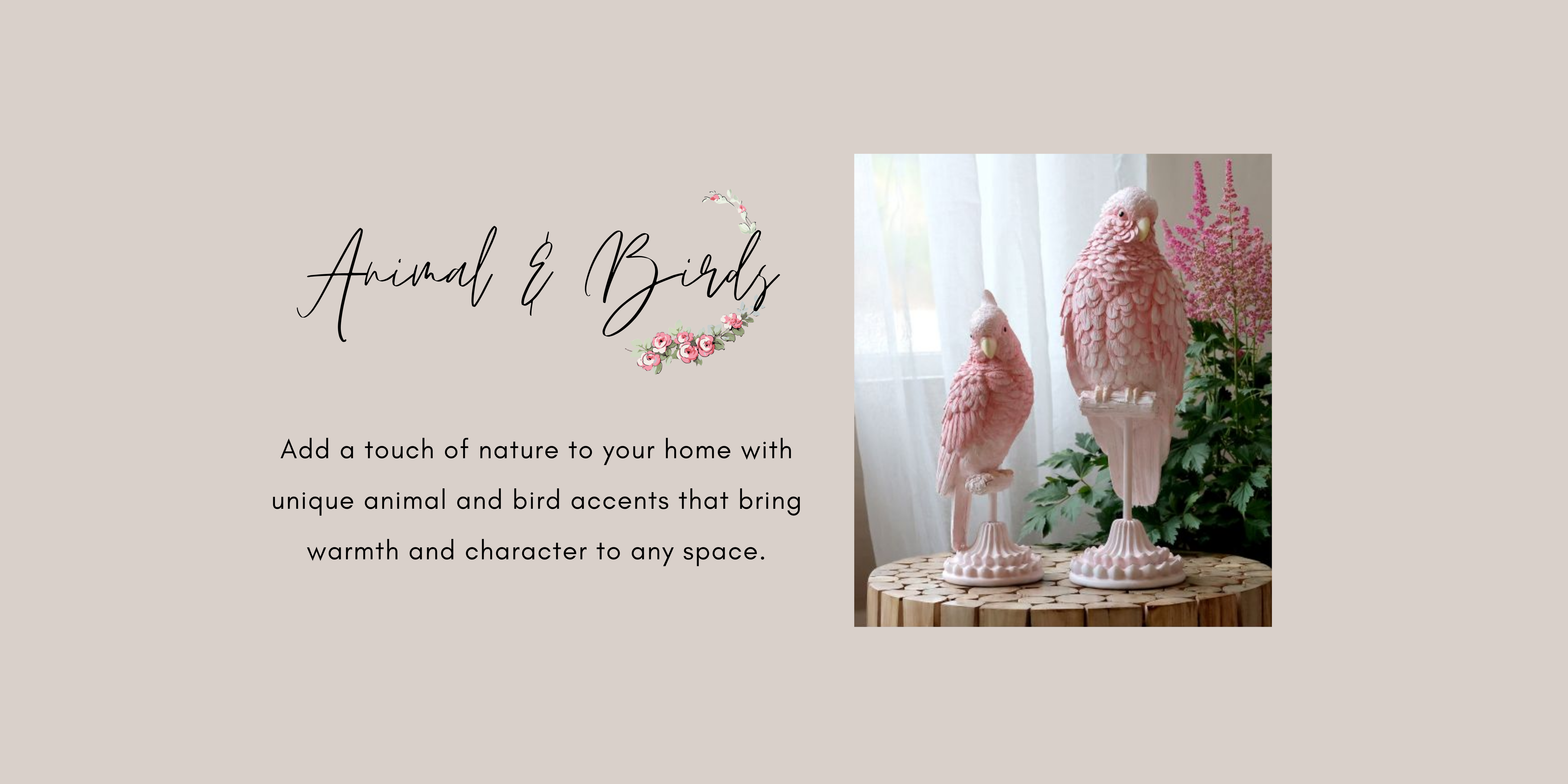 Animals & Birds