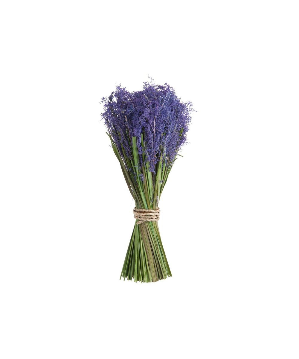 حزمة لافند باوند الرافية Purp S